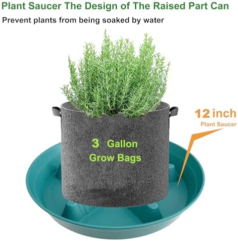 4 Pack Plant Saucer 12 inch, 8 10 14 17 inch, Plant Stand Plastic Plant Saucers for Indoors Outdoor, Heavy Duty Flower Saucers for Potted Plants, Pot Saucers for Plants, Grow Bags Saucers - Image 5
