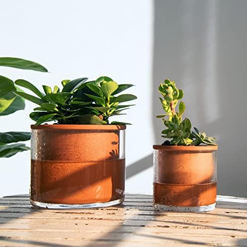 Phoenix Vine 4 Inch 6 Inch Self Watering Plants Pots, Design Terracotta Pots for Plants, Indoor Cylinder Terra Cotta Planter with Glass Vase Set, 51-A-G-46 - Image 2