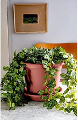 The HC Companies Classic Round Plastic Plant Pot w/Rolled Rim - Lightweight & UV Resistant Flower Pot for Herbs & More - Outdoor & Indoor Plant Pots w/Drainage (15.5 inch Clay, Pack of 1) - Image 2
