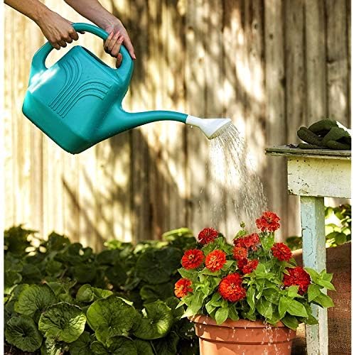Bloem Watering Can, (2 Gallon) - Image 2