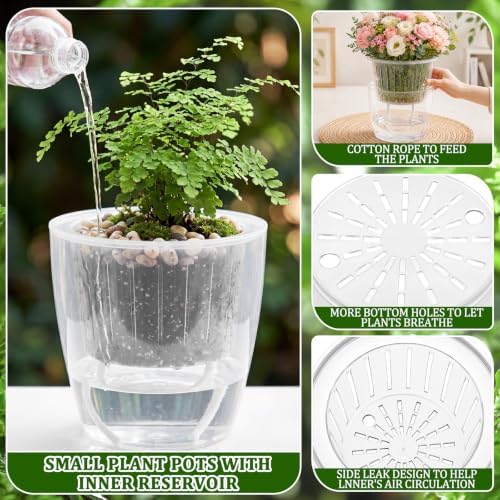 Self Watering Plant Pots, 6.6'', Transparent, 12 Pcs - Image 3