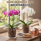 2 Pcs 4 Inch Clear Acrylic Orchid Planter Pot with 360° Round Holes & Tray - Image 4