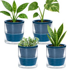 D'vine Dev Self-Watering Blue Terracotta Planter, 4 in, 4-Pack, 37-Z-A-4-F by DvineDevPlanterPotsandStand