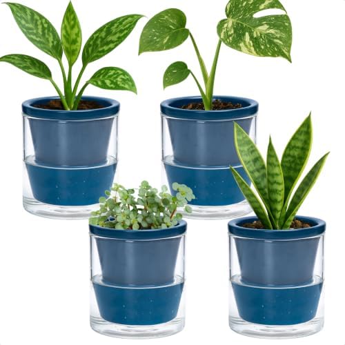 D'vine Dev Self-Watering Blue Terracotta Planter, 4 in, 4-Pack, 37-Z-A-4-F by DvineDevPlanterPotsandStand