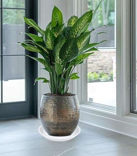 5 Pack of 14 inch Plant Saucer, Large Plant Tray, Heavy Sturdy Plant Drainage Tray for Indoors, Bird Bath Bowls, Sturdy Plastic Pot Tray for Planter (White) - Image 6