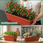 LOCONHA 12 Pack Window Box Planter, Plastic Vegetable Flower Planters Boxes - Image 6