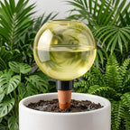 Automatic Plant Watering Globes 500ML Top Fill Drip Irrigation for Indoor - Image 3
