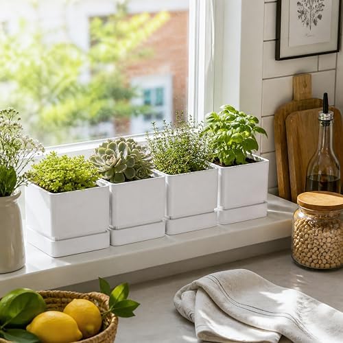 D'vine Dev 4-Pack Plastic Herb Planter Pots, 6 in, White, 76-Y-A4-2 - Image 2