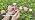 HIRALIY 100FT Drip Irrigation System with Timer & 360° Dripper - Image 7