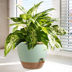 WSMKSZ 12/10/9 inch Self Watering Pots for Indoor Outdoor Plants, Set of 3 - Image 6