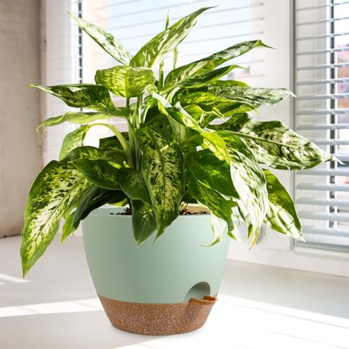 WSMKSZ 12/10/9 inch Self Watering Pots for Indoor Outdoor Plants, Set of 3 - Image 6
