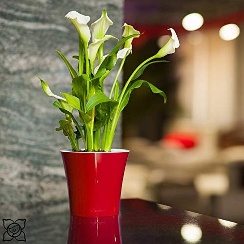 Santino 8.6" ARTE Self Watering Planter (Set of 3) in Green/Black - Indoor Flower Pot for All House Plants, Flowers, Herbs, Succulents, Orchideas, Dahlias and African Violets - Image 3