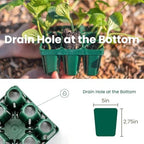 Vego garden Seedling Suite Products, 4 Pack Standard Seedling Trays with Seedling Tray Lids and 10" x 10" Bottom Watering Trays - Image 4