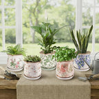 Ceramic-Planters-for-Indoor-Plants with Saucer, 6 inch Vintage Ice Crackle Glaze Plant Pots with Drainage Holes, Decorative Flower Pots for Outdoor Garden Home Decor, Tuscan Pot for Plant - Image 2