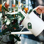 1 Gallon Matte Cream Metal Watering Can, Removable Spout - Image 5