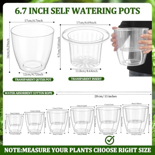 Self Watering Plant Pots, 6.6'', Transparent, 12 Pcs - Image 2
