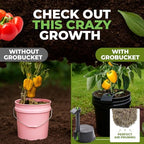Self Watering Planter Insert w/LifeTested Technology, Water Reservoir & Level Indicator - Turn Any 5-Gal Bucket into a DIY, Portable Automatic Container Indoor-Outdoor Garden, 3-Pack - Image 2