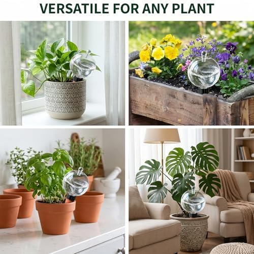 6 Pack 32 oz Extra Large Plant Self Watering Globes to 3 Weeks Watering - Image 5