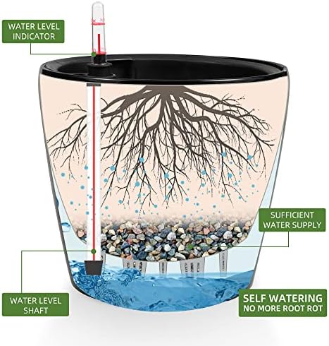 Dexceder 11x10 Self Watering Planter (Black High Gloss) - Image 2