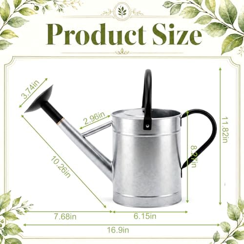 1 Pcs 1 Gallon Metal Watering Can for Indoor Outdoor Plants, Galvanized Garden Water Can with Long Spout and Dual Handles, Large Silver Watering Pot for Flowers, Houseplants, Yard - Image 2