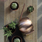 FLEXMAN 1000ml Stainless Steel Watering Can with Long Spout, Long Spout Modern Style Watering Pot, Small Watering Can for Outdoor Indoor Plants (Bronze) - Image 6