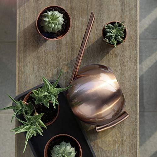 FLEXMAN 1000ml Stainless Steel Watering Can with Long Spout, Long Spout Modern Style Watering Pot, Small Watering Can for Outdoor Indoor Plants (Bronze) - Image 6