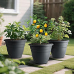 RooTrimmer 12 Inch Plant Pots, Large Planters for Outdoor Plants, Plastic Flower Pots - Durable and Lightweight with Drainage Holes (3 Packs, Gray) - Image 2