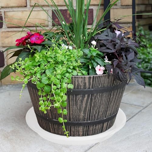 2 Pack of 19 inch Clear Plant Saucer, Large Plant Tray, Heavy Sturdy Plant Drainage Tray for Indoors, Bird Bath Bowls, Sturdy 18 inch Plastic Pot Tray for Planter - Image 4