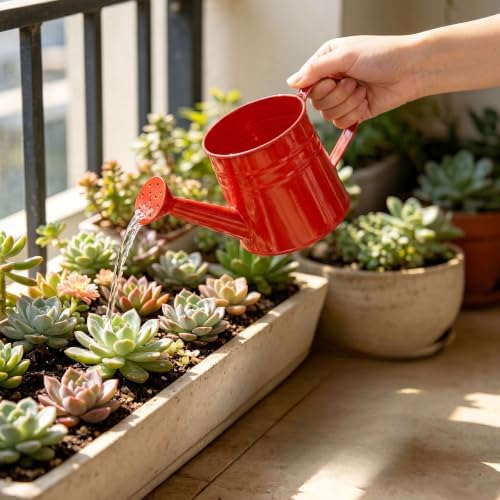 1L Retro Metal Painted Watering Can with Long Spout & Handle - Image 4