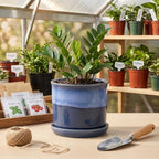 5.8 Inch Plant Pot: Ceramic Planter with Drainage Hole & Saucer - Flowerpot for Indoor & Outdoor Plants with Separate Tray for Home & Office - Blue - Image 6