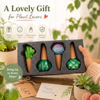 SURE YUESI 4PCS Self Watering Globes, Automatic Terracotta Watering Bulbs - Watering Spikes, Vacation Plant Watering Devices System, Plant Watering Globes for Indoor and Outdoor Plants - Cactus - Image 6