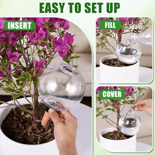 2 Pack 28 oz XXL Extra Large Self Watering Globes to 3+ Weeks Watering - Image 6
