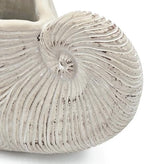 Nautilus Shell Planter, 11.5 Inch, Textured Beige Finish - Image 7