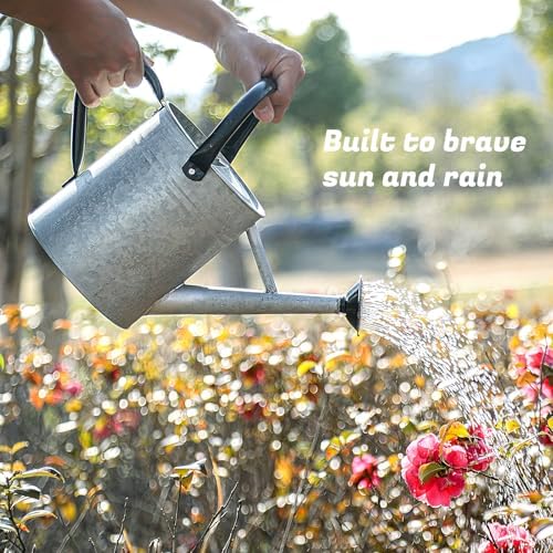 1 Gallon Watering Can for Plants, Watering Cans for Indoor&Outdoor Gardening, Galvanized Steel Watering Pot with Removable Spout, Metal Water Can with Ergonomic Movable Handle(Rustic Silver) - Image 2
