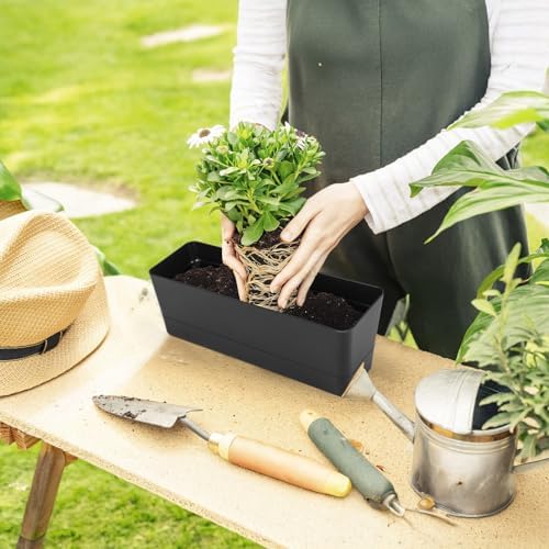 GREANER 6 Pack Herb Planters, 12x3.8 Inch Black Rectangle Window Boxes with Tray, Indoor Succulent Cactus Mint Plastic Pot for Windowsill, Balcony, Office, Outdoor Garden - Image 5