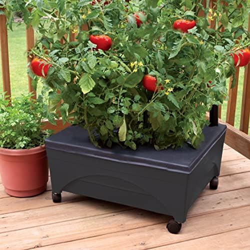 Emsco Group City Picker Raised Bed Grow Box – Self Watering and Improved Aeration – Mobile Unit with Casters - Image 3