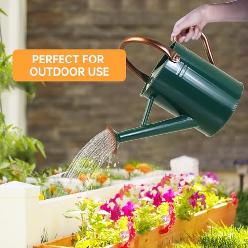 Metal Watering Can for Outdoor Plants, 1 Gallon Galvanized Steel Watering Can with Removable spout for Outdoor & Indoor Use, Perfect for Garden Flower, Houseplants, Forest Green - Image 5