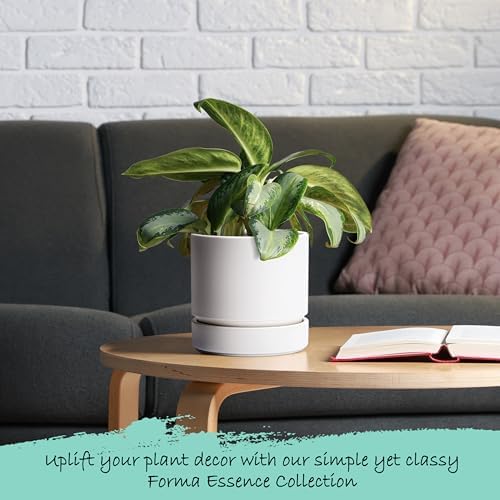 Phoenix Vine 6 Inch Planter Pot with Drainage Hole & Saucer, Deep Water Catch Tray, Straight Cylindrical Round Pot for Plants, Matte White, Pack of 3, 23-B-S-3 - Image 6