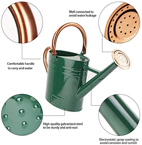 1 Gallon Metal Watering Can with Removable Spout, Nice Galvanized Steel Water Can with Embossed Design for Indoor and Outdoor Plants - Image 2