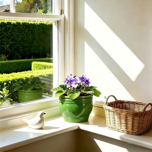 Self Watering Pot for African Violets Indoor Outdoor Plants, 6 inch, Green - Image 6