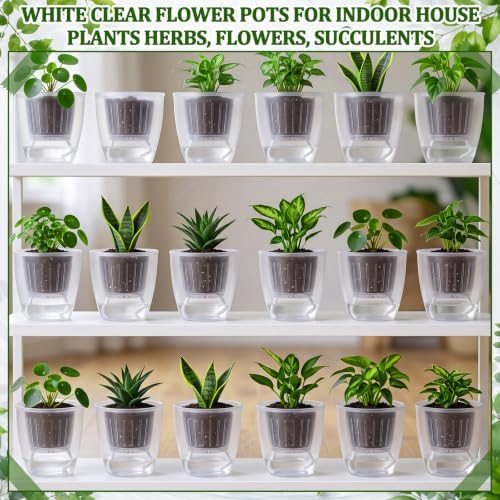 Self Watering Plant Pots, 4.7'', Transparent, 36 Pcs - Image 6