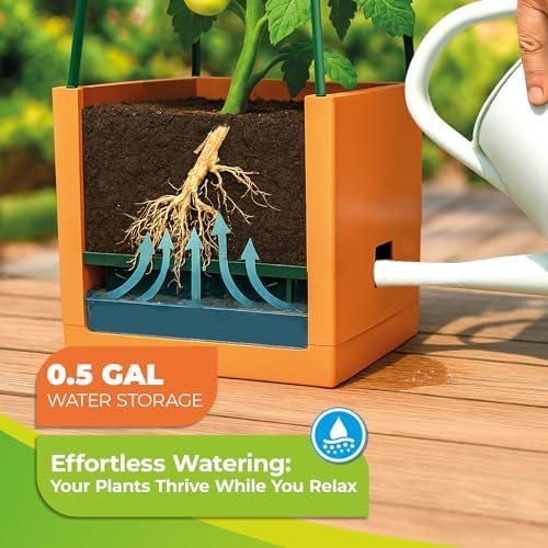 BioGreen 2 Pack Garden Tomato Planter MAXITOM, with Plant Support Trellis 59 inch and Self Watering, 4,2 Gal Planter Box for Climbing Vegetables Plants, Terracotta - Image 6