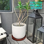 Ceramic Plant Saucer 14.5 Inch, Round Plant Trays for Indoors/Outdoors, Flower Pot Saucers for Holding Water Drips and Soil, Drainage Tray for Plant Pot, Reactive Glaze Brown - Image 2