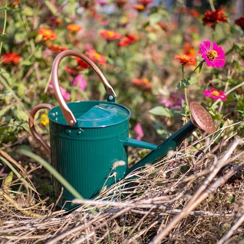 1 Gallon Dark Green Metal Watering Can, Removable Spout - Image 5