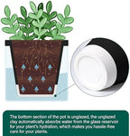 D'vine Dev Self-Watering Black Terracotta Planter, 4 in, 3-Pack, 37-Z-A-3-T - Image 6
