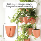 Make Good PlantPod Luxe - Self-Watering Wall Planters (Set of 6, Terracotta) - Easy to Water and Install - Lightweight - Design Your Own Vertical Garden - Wall Planters for Indoor Plants - Image 4