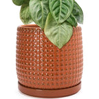 D'vine Dev Beaded Ceramic Pot with Saucer, 10 in, Pumpkin, 27-C-P-J by DvineDevPlanterPotsandStand