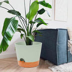 GARDIFE 12 inch Plant Pots, planters, Self Watering Pots, Large Plastic Flower pots with Deep Reservior and High Drainage Holes for Indoor Outdoor Plants and Flowers, Green - Image 4