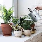 Garutom Galvanized Watering Can for Outdoor Indoor Plants, 1 Gallon Decorative Countryside Style Water Can with Removable Spout, Perfect Metal Watering Can for Indoor Plants and Garden Flower - Image 2