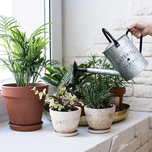 Garutom Galvanized Watering Can for Outdoor Indoor Plants, 1 Gallon Decorative Countryside Style Water Can with Removable Spout, Perfect Metal Watering Can for Indoor Plants and Garden Flower - Image 2